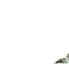 🌟 Эмодзи «Resident Evil Requiem» для Telegram