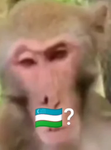 🌟 Стикер «Faqat chopma» для Telegram