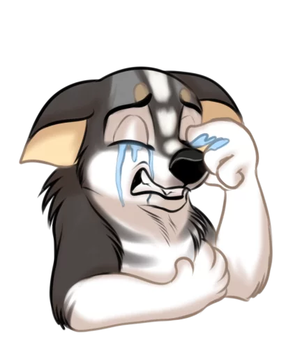 😂 Стикер «Huscai the Husky» для Telegram