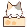 🍊 Эмодзи «Huwa Cat ੭» для Telegram