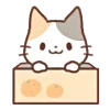 🍊 Эмодзи «Huwa Cat ੭» для Telegram