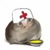 ⛷ Эмодзи «Немного треша)» для Telegram
