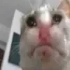 🌟 Эмодзи «Немного треша)» для Telegram