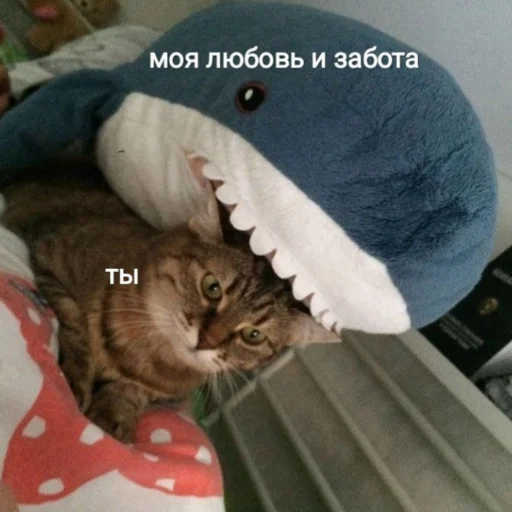 ❤️ Стикер «милые милости и депрессия» для Telegram