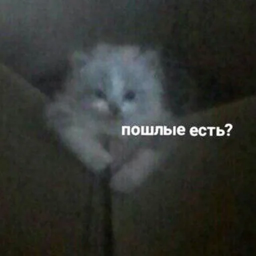 😏 Стикер «милые милости и депрессия» для Telegram