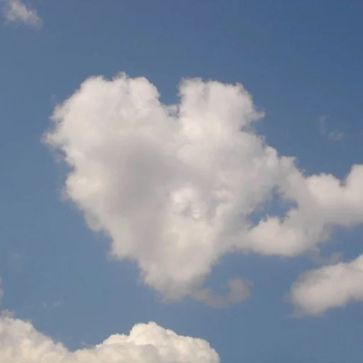 🤍 Стикер «i l o v e y o u» для Telegram