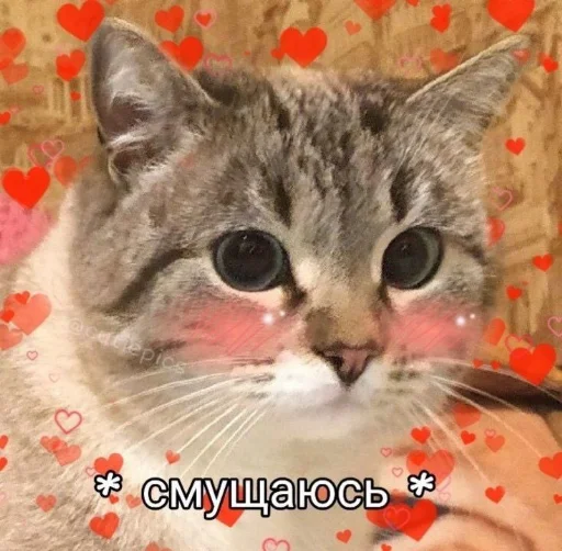 ❤️ Стикер «я люблю тебя!!» для Telegram