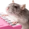 🎹 Эмодзи «Cute animals #animals #cute #girl» для Telegram