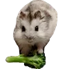 🐹 Эмодзи «Cute animals #animals #cute #girl» для Telegram