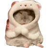 🐹 Эмодзи «Cute animals #animals #cute #girl» для Telegram