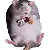 🍫 Эмодзи «Cute animals #animals #cute #girl» для Telegram