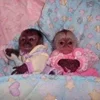 👩‍❤️‍👨 Эмодзи «Cute animals #animals #cute #girl» для Telegram
