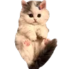 😊 Эмодзи «Cute animals #animals #cute #girl» для Telegram