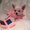 🤓 Эмодзи «Cute animals #animals #cute #girl» для Telegram