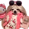 😎 Эмодзи «Cute animals #animals #cute #girl» для Telegram