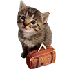 💼 Эмодзи «Cute animals #animals #cute #girl» для Telegram