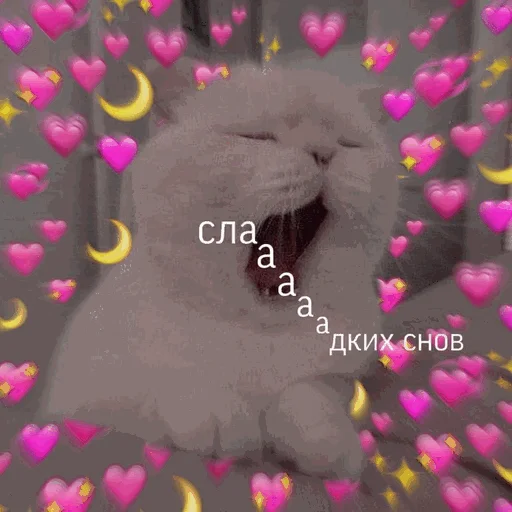 ❤️ Стикер «Спокойной ночи» для Telegram