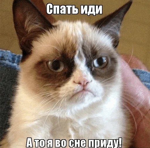 😬 Стикер «Спокойной ночи» для Telegram