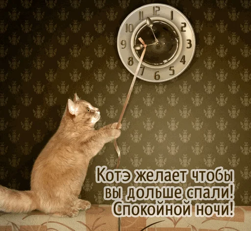 ⏰ Стикер «Спокойной ночи» для Telegram