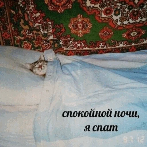 😴 Стикер «Спокойной ночи» для Telegram
