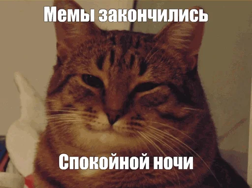 😏 Стикер «Спокойной ночи» для Telegram