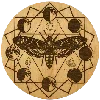 🖼️ Эмодзи «²⁰⁰ ᵖᶜˢ» для Telegram