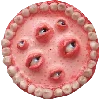 👁️ Эмодзи «²⁰⁰ ᵖᶜˢ» для Telegram