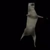 🕺 Эмодзи «Волк Ихвильнихт» для Telegram