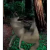 🐺 Эмодзи «Волк Ихвильнихт» для Telegram