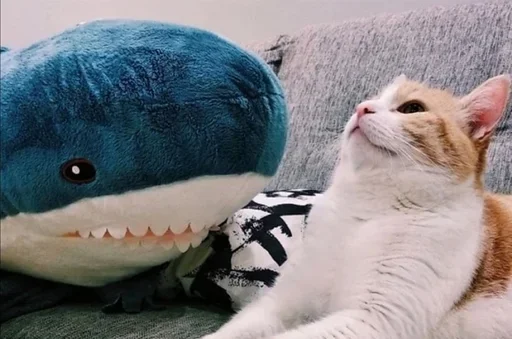 😺 Стикер «Ikea Shark» для Telegram