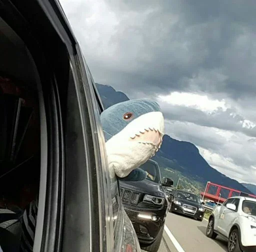 🛤 Стикер «Ikea Shark» для Telegram