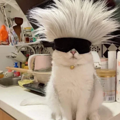😎 Стикер «white 3» для Telegram