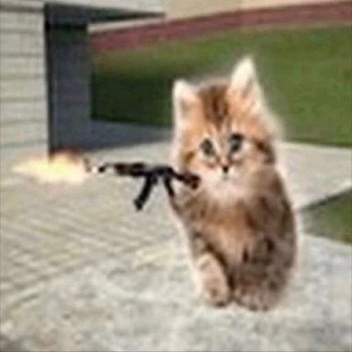 🔫 Стикер «ilkinboss» для Telegram