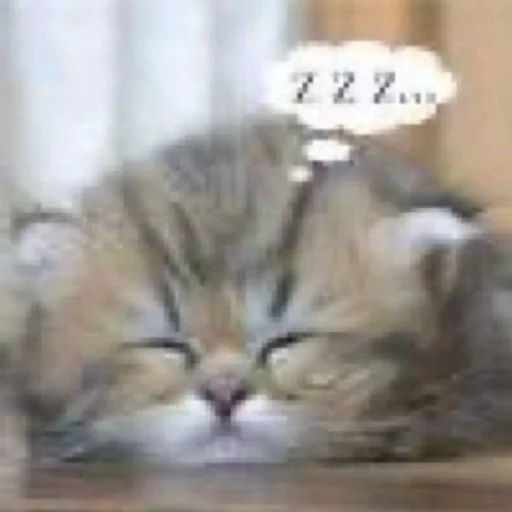 💤 Стикер «ilkinboss» для Telegram