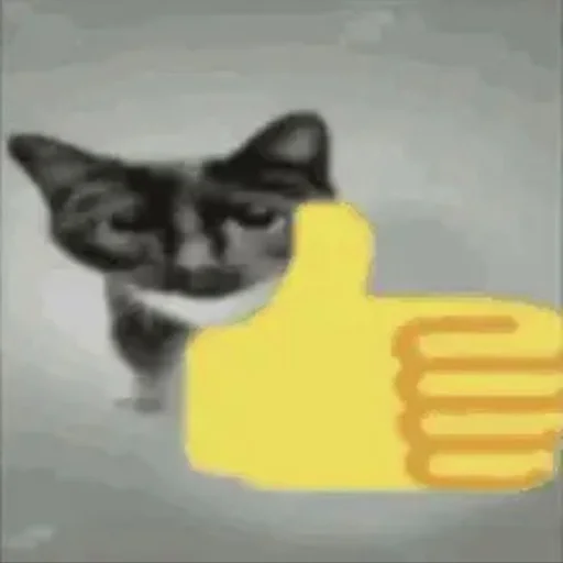 👍 Стикер «ilkinboss» для Telegram
