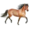 Эмодзи Ilovehorses для Telegram — скачать