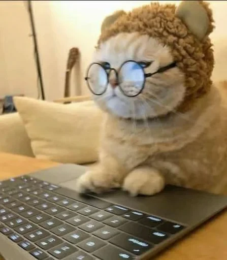 🤓 Стикер «sweet pussy» для Telegram