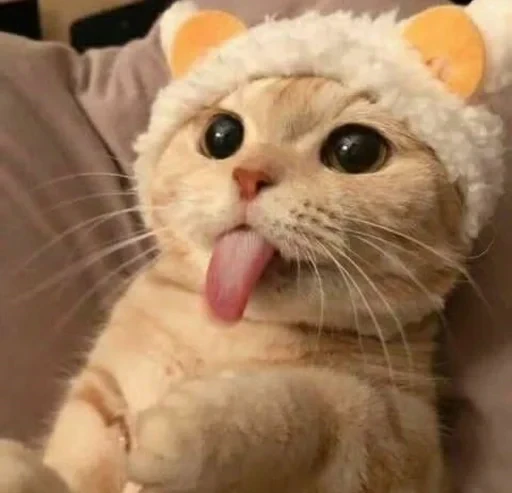 🥺 Стикер «sweet pussy» для Telegram