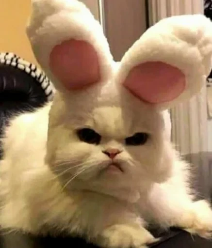 😡 Стикер «sweet pussy» для Telegram