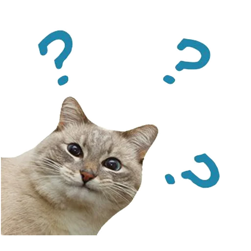 ❓ Стикер «youcanchangethisanytime» для Telegram