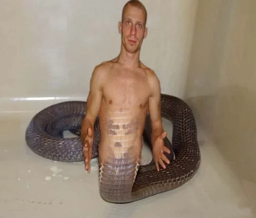 🐍 Стикер «INFOPIRATE» для Telegram