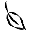 🌱 Эмодзи «𝖎𝖓𝖐 𝖋𝖑𝖔𝖜𝖊𝖗𝖘» для Telegram