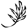 🌱 Эмодзи «𝖎𝖓𝖐 𝖋𝖑𝖔𝖜𝖊𝖗𝖘» для Telegram