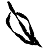 🌱 Эмодзи «𝖎𝖓𝖐 𝖋𝖑𝖔𝖜𝖊𝖗𝖘» для Telegram