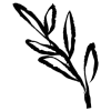 🌱 Эмодзи «𝖎𝖓𝖐 𝖋𝖑𝖔𝖜𝖊𝖗𝖘» для Telegram