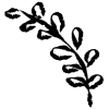 🌱 Эмодзи «𝖎𝖓𝖐 𝖋𝖑𝖔𝖜𝖊𝖗𝖘» для Telegram