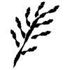 🌱 Эмодзи «𝖎𝖓𝖐 𝖋𝖑𝖔𝖜𝖊𝖗𝖘» для Telegram