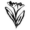 🌱 Эмодзи «𝖎𝖓𝖐 𝖋𝖑𝖔𝖜𝖊𝖗𝖘» для Telegram