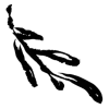 🌱 Эмодзи «𝖎𝖓𝖐 𝖋𝖑𝖔𝖜𝖊𝖗𝖘» для Telegram