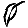 🌱 Эмодзи «𝖎𝖓𝖐 𝖋𝖑𝖔𝖜𝖊𝖗𝖘» для Telegram